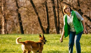 20 Dos and Don’ts for Belgian Malinois