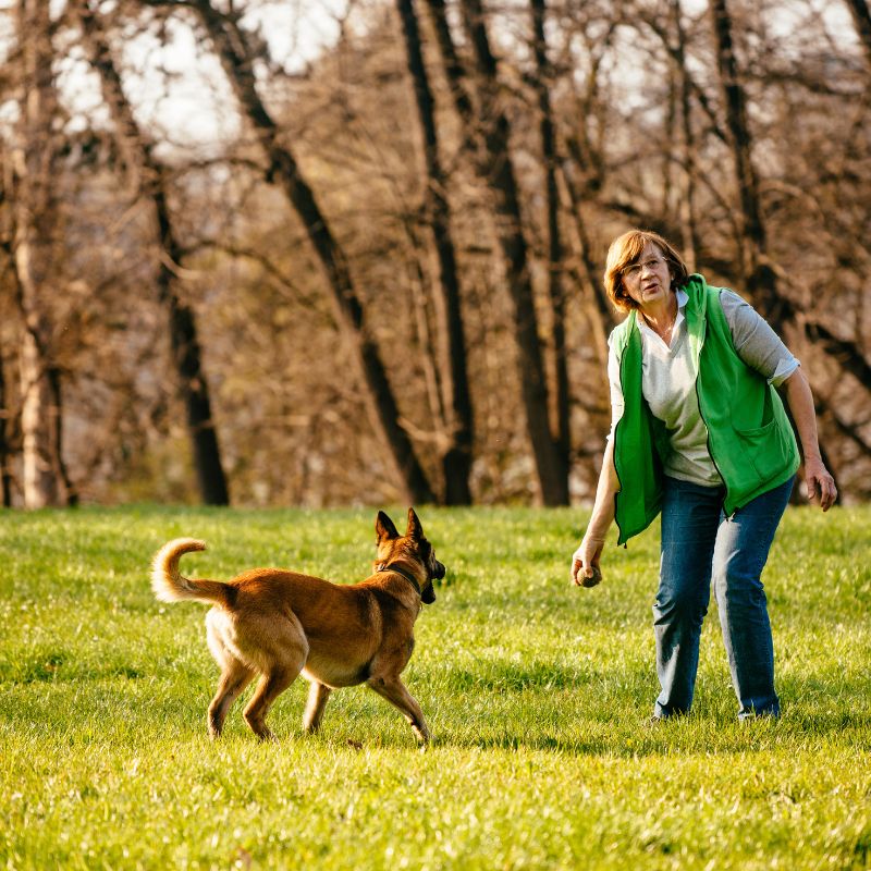 20 Dos and Don'ts for Belgian Malinois