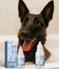 Belgian Malinois Wash Free Drops
