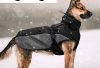 Do Belgian Malinois Need Clothes belgian malinois jacket