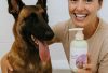 Hypoallergenic Belgian Malinois Shampoo
