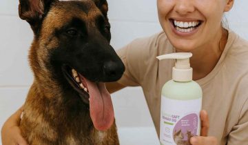 What Is The Best Shampoo For Belgian Malinois?