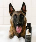 Oatmeal Belgian Malinois Shampoo