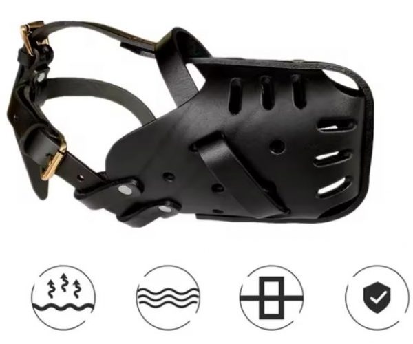 belgian malinois leather muzzle