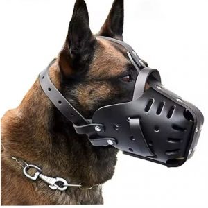 belgian malinois leather muzzle