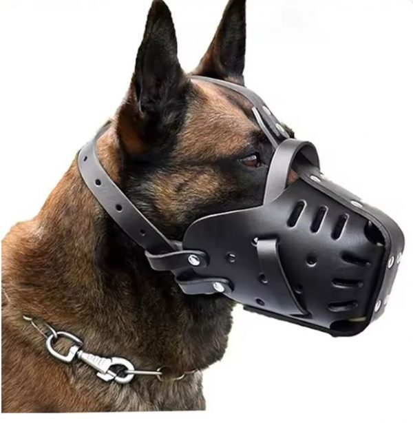 belgian malinois leather muzzle