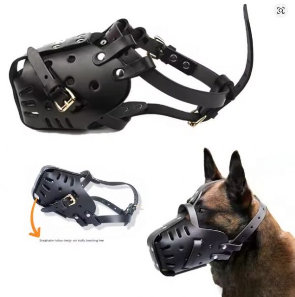 belgian malinois leather muzzle