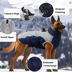 belgian malinois winter vest