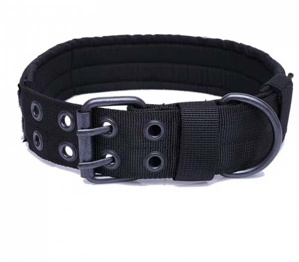 K9 Belgian Malinois Collar - Image 7