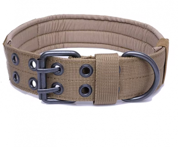 K9 Belgian Malinois Collar