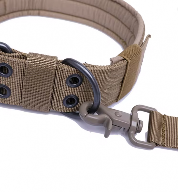 K9 Belgian Malinois Collar - Image 5