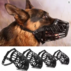 Belgian Shepherd Muzzle Belgian Malinois store