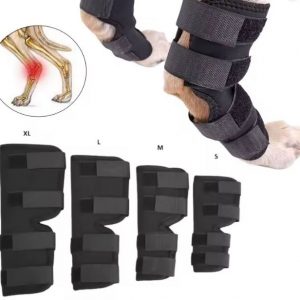 belgian malinois knee bandage